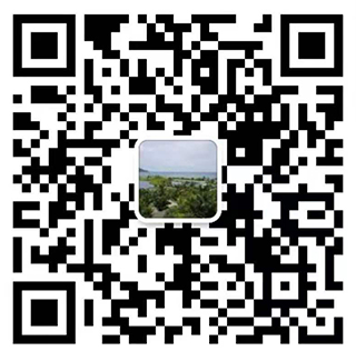 河北6686体育
